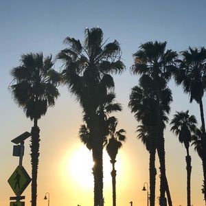 Meet your Posher, Mayra